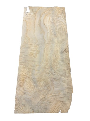 Olive ash burl wood - ash,